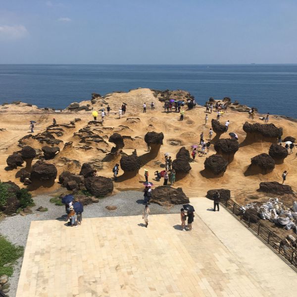 野柳海洋世界 台北親子景點 台北兒童景點