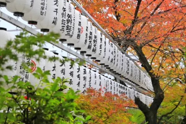 サムハラ神社 大阪私房景點 大阪冷門景點 隱世袐境
