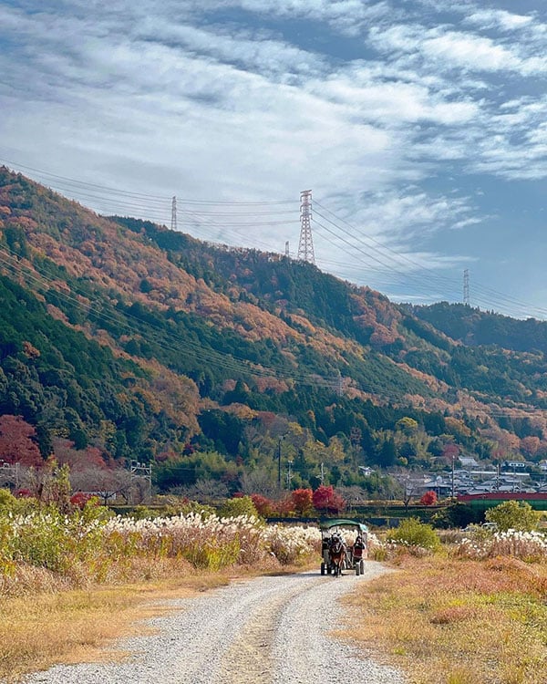 京都嵐山一日遊 嵐山小火車 嵐山商店街 人力車
