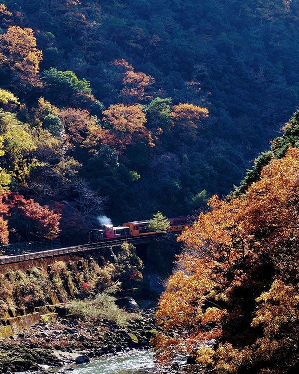 京都嵐山一日遊 嵐山小火車 嵐山竹林 嵐山交通
