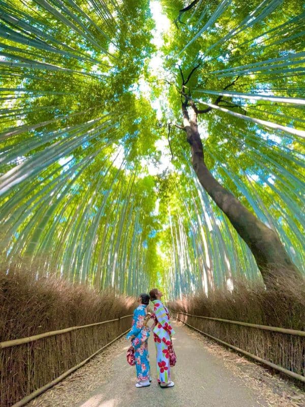 京都行程 京都自由行 京都景點 嵐山 竹林之道